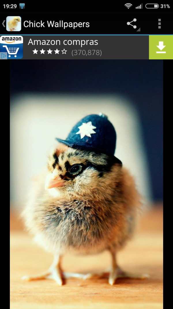 Chick Wallpapers 3 تصوير الشاشة