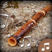 Mobile Phone Ringtones-Ringtones For Phone(Flute) 1.0.1