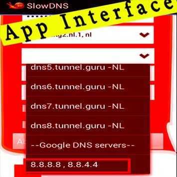 Guide for VPN Over DNS Tunnel : SlowDNS screenshot 8