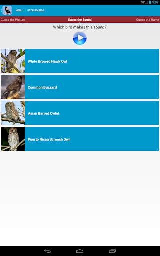 Birds of Prey Sounds Free screenshot 21