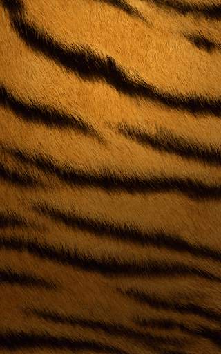 Animal Print Live Wallpaper HD screenshot 3