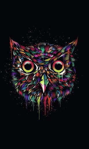 Funny Owl Wallpaper screenshot 9