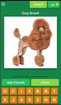 Popular Dog Breeds Quiz screenshot 4