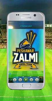 PSL 2018 Official Songs Offline screenshot 2