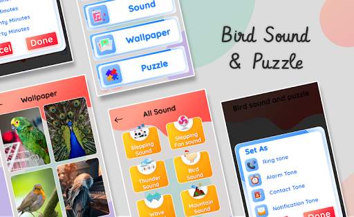 Bird sound and puzzle screenshot 1