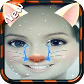 snapcat catchat face filters-photo 2.0