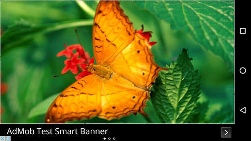 Butterfly Wallpapers screenshot 6