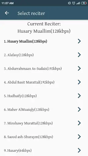 Easy Quran Memorizer screenshot 8
