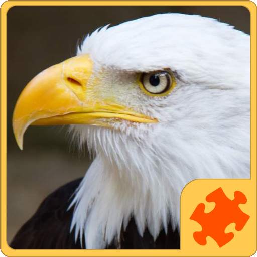 Birds Puzzle 1.00