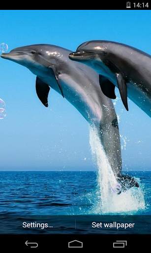 Dolphins Live Wallpaper screenshot 2