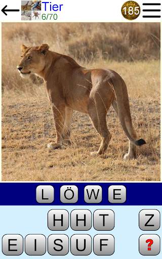 Bild Quiz screenshot 9