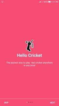 Let's Play Cricket screenshot 1