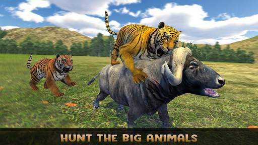 Ultimate Lion Family Simulator screenshot 1