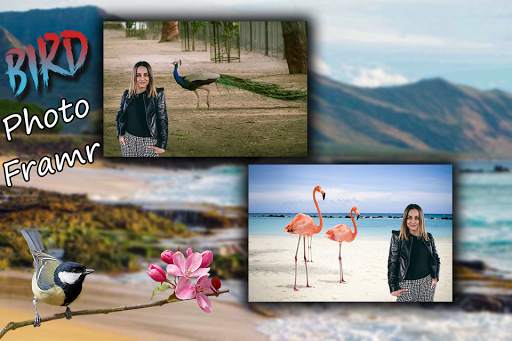 Bird Photo Frame : Cut Paste Editor screenshot 3