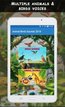 Animal Sounds App: Beautiful Birds Sounds screenshot 8