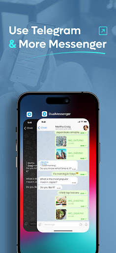 Dual Messenger Web screenshot 3