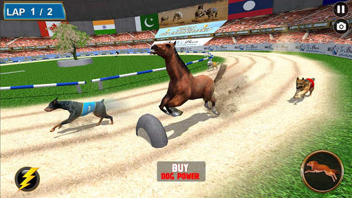 Real Dog Racing Tournament screenshot 15