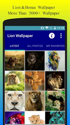 Lion Wallpaper HD Free screenshot 1