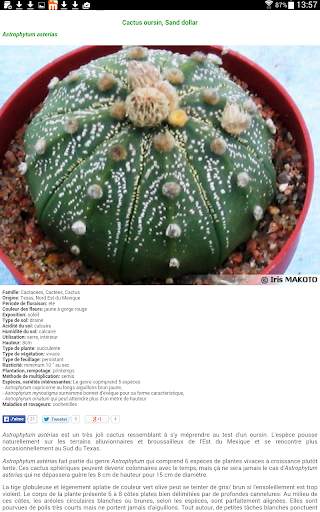 Au Cactus screenshot 20