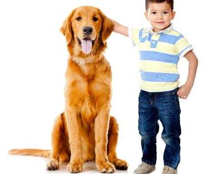 People with Animals Jigsaw Puzzles Game screenshot 4