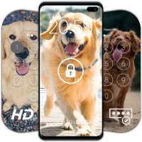 Golden Retriever Wallpapers & Lock Screen logo