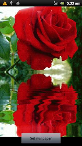 Rose Live Wallpaper screenshot 3