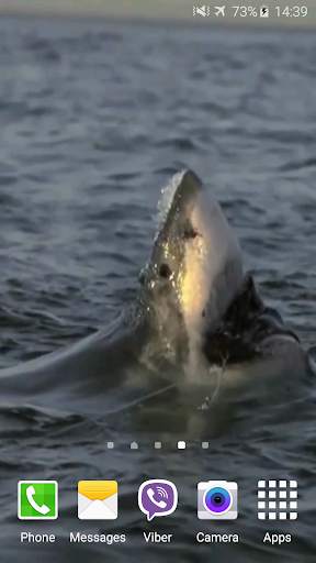 Shark Attack Live Wallpaper screenshot 4
