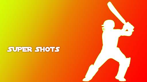 Brainnovate Cricket 2021-3D Cr screenshot 4