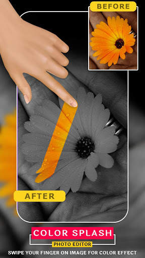 Color Splash : Black and White Photo Editor 5 تصوير الشاشة