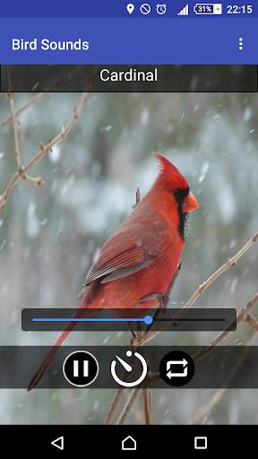 Relax & Sleep with Bird Sounds screenshot 5