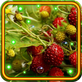 Berry Best live wallpaper icon