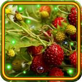 Berry Best live wallpaper 1.0