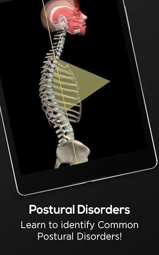 Posture by Muscle & Motion screenshot 12