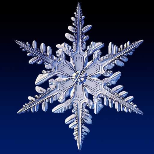 Real Snow Live Wallpaper 1.5