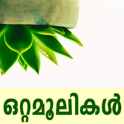 Ottamoolikal 1.6