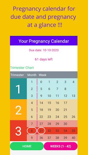 Baby Gender Predict   Pregnancy Week By Week screenshot 7