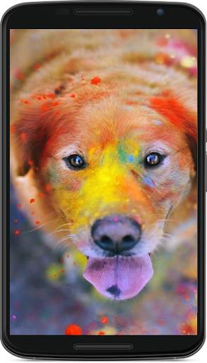 dog wallpaper screenshot 4