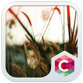 Field CLauncher Theme icon