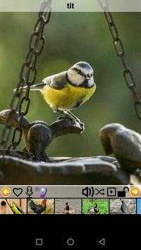 bird sounds screenshot 4