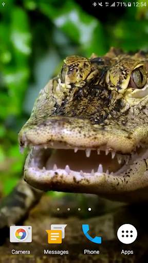 Crocodile Live Wallpaper screenshot 2