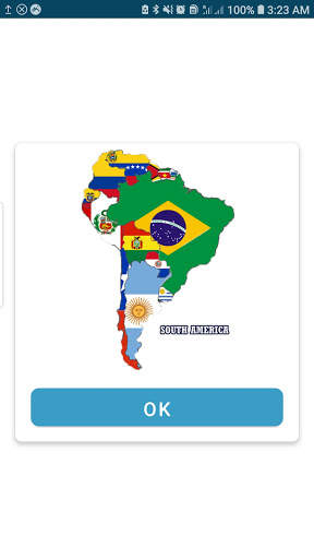 World National Flag Challenge screenshot 7