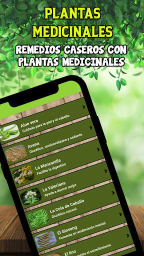🍃 Remedios Caseros 🍃 - Plantas Medicinales 🌱 screenshot 4
