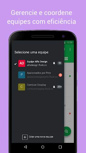 Flock screenshot 2