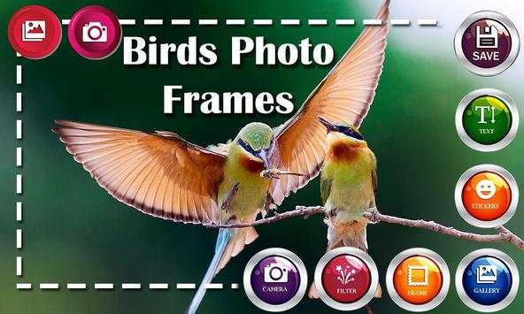 Birds HD Photo Frames and Live Wallpapers screenshot 3
