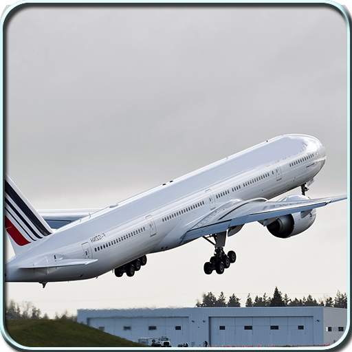 Flight Simulator 787 1.0