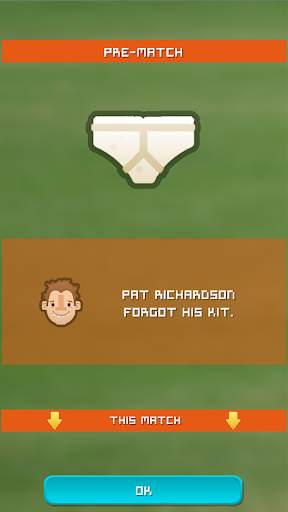 Village Cricket screenshot 3