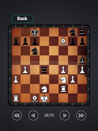bermain catur screenshot 11