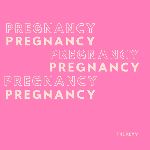 Pregnancy Tips On Health icon