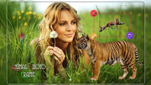 Wild Animal Photo Editor screenshot 2