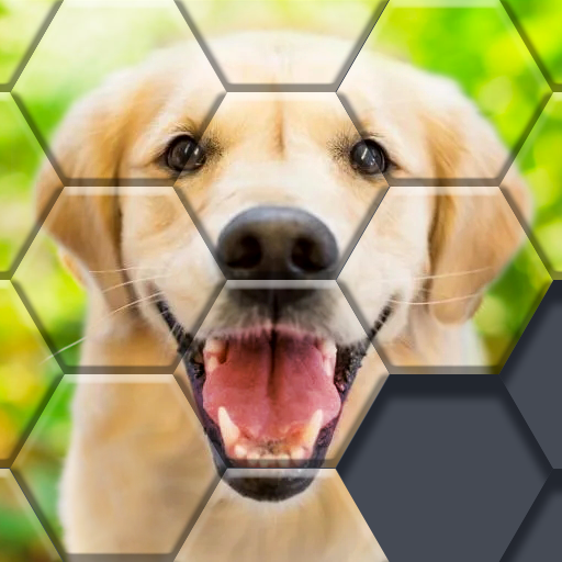 Hexa Block Puzzle - Classic Block Games icon